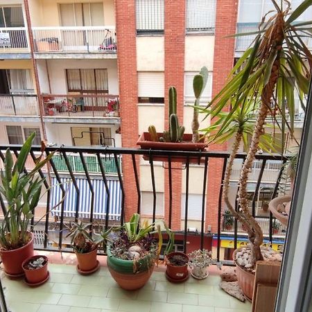 Dormitorios piso Gandía Esterno foto